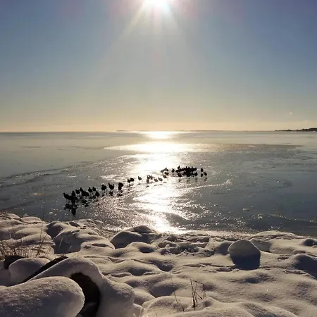 Blaues Haus, Apartment
