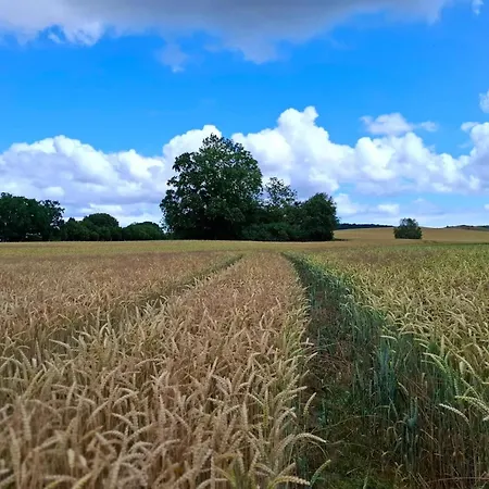 Apartment Blaues Haus,